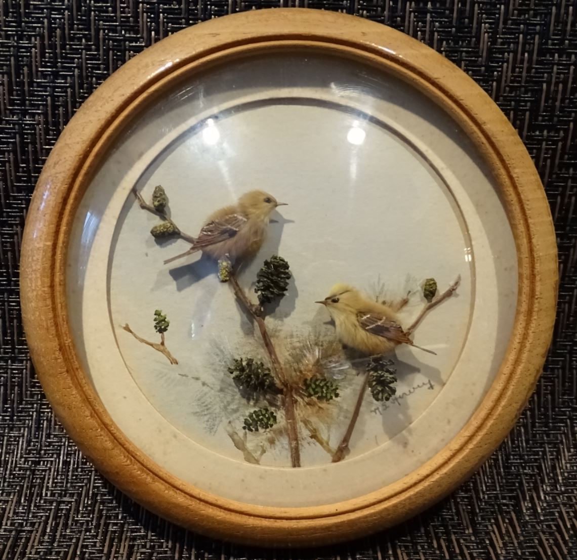 Goldcrests (5-inch)